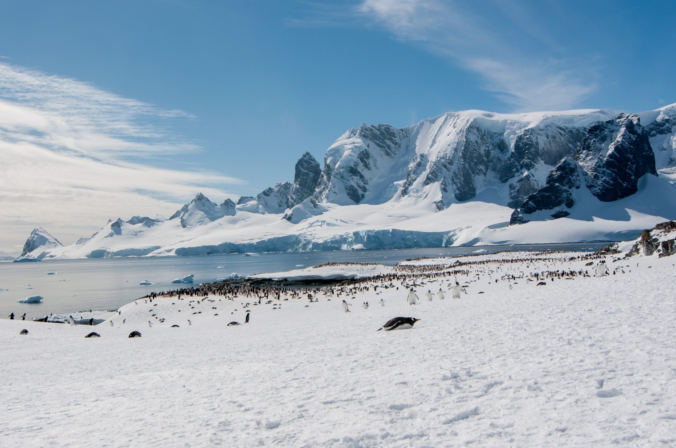 Antarctic Peninsula