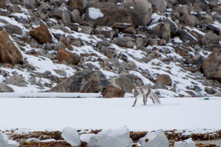 20160830-Svalbard-121