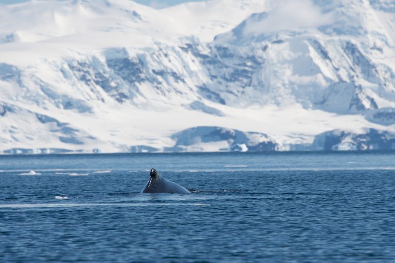 20170107-Antarctica Heb Sky_1120