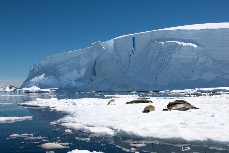 20170107-Antarctica Heb Sky_1238