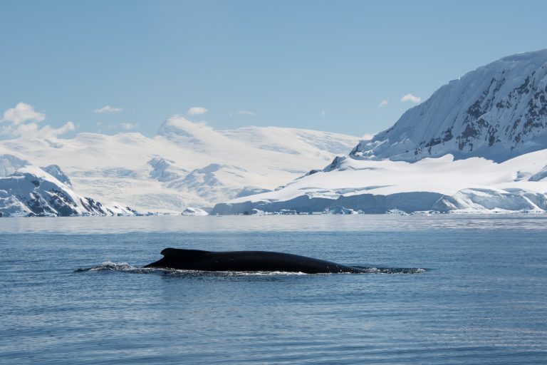 20170107-Antarctica Heb Sky_1274