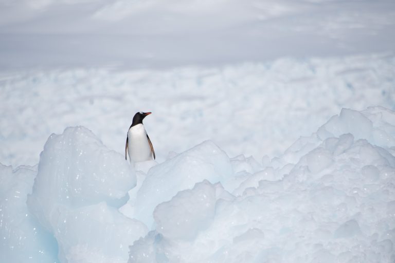 20170107-Antarctica Heb Sky_272