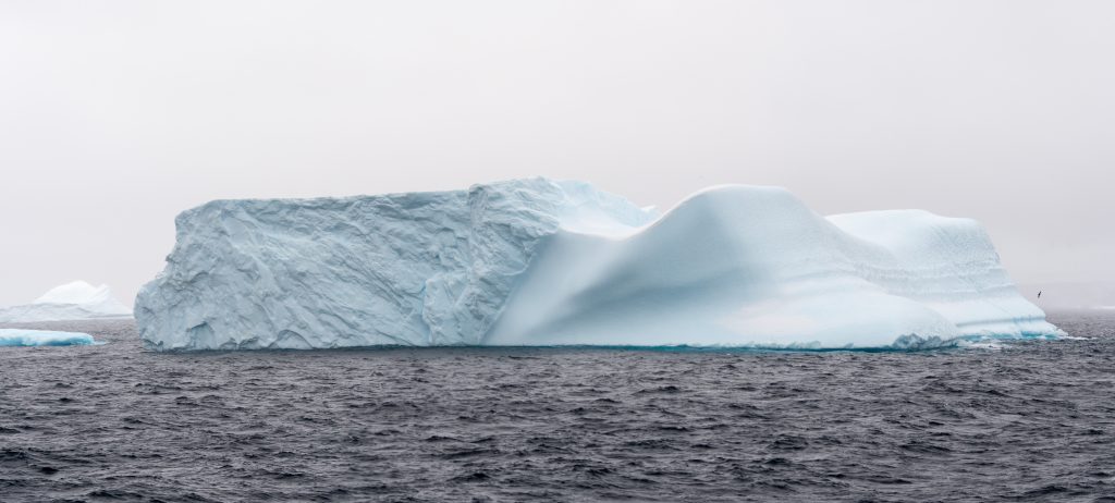 20240207-Antarctica Seaventure-805-Pano