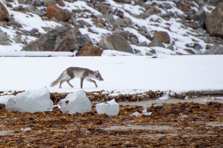 20160830-Svalbard-122