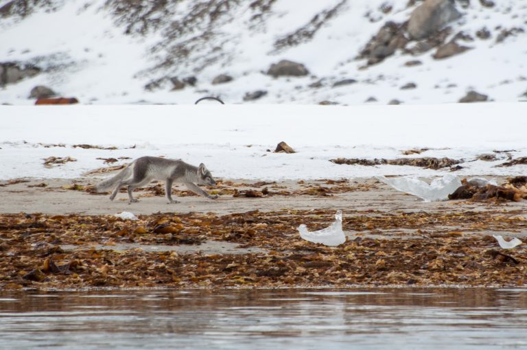 20160830-Svalbard-124