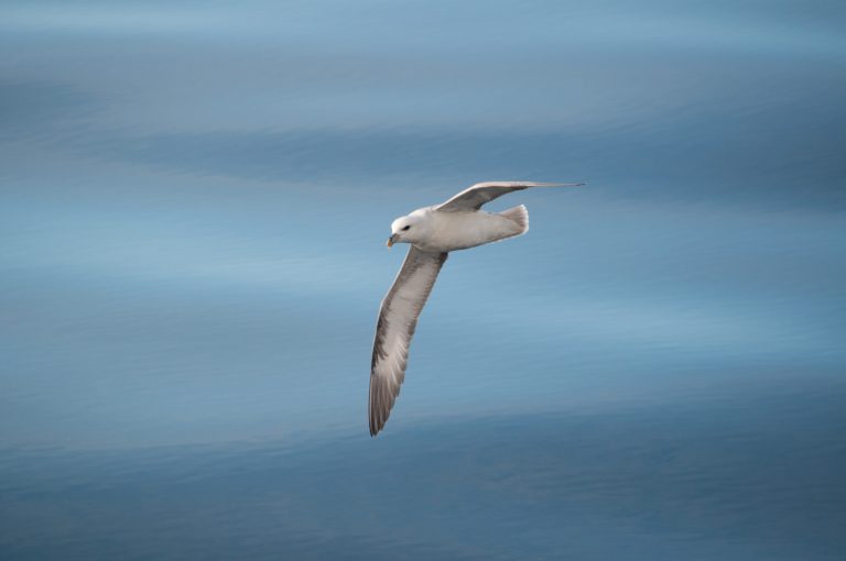 20160830-Svalbard-1295