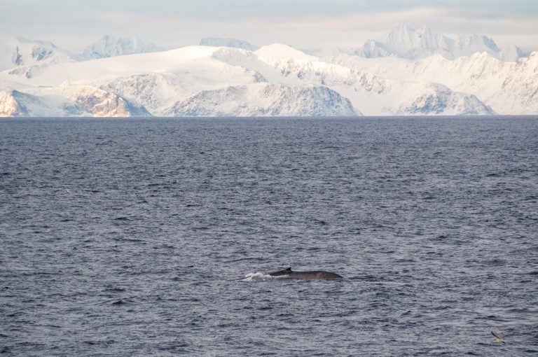 20160830-Svalbard-986