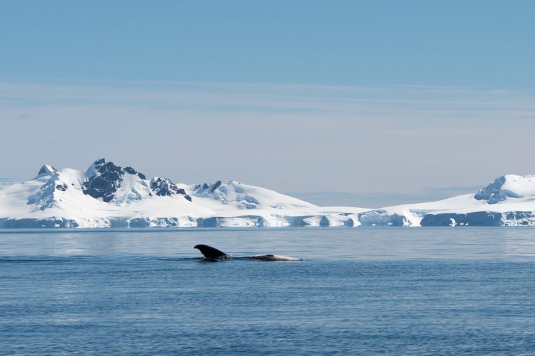 20170107-Antarctica Heb Sky_1265