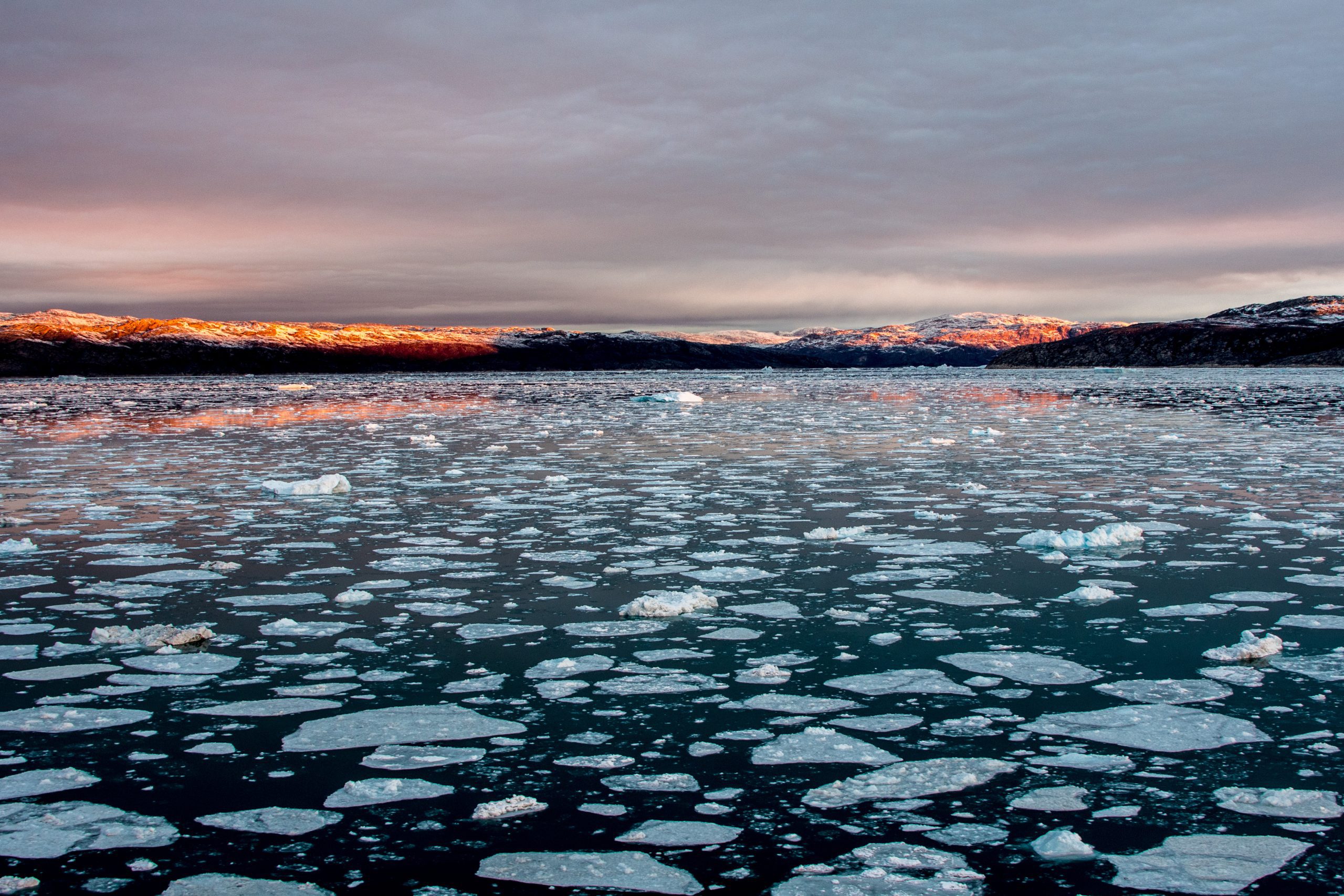 Northwest Passage Cruises