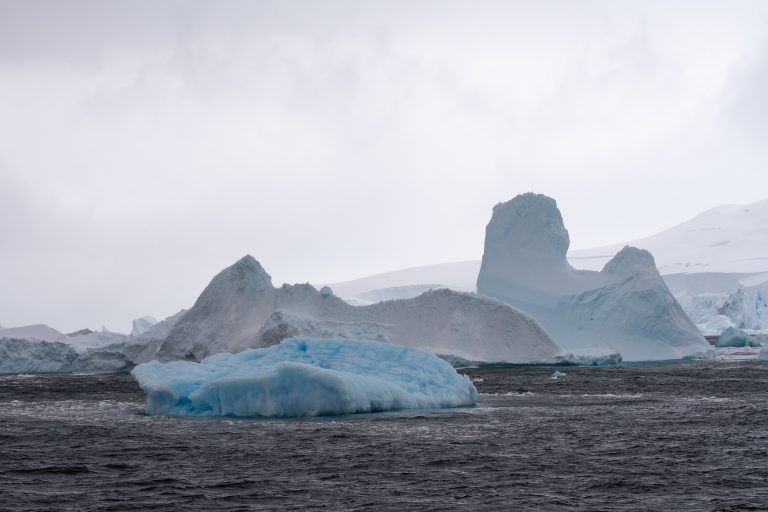 20240207-Antarctica Seaventure-727