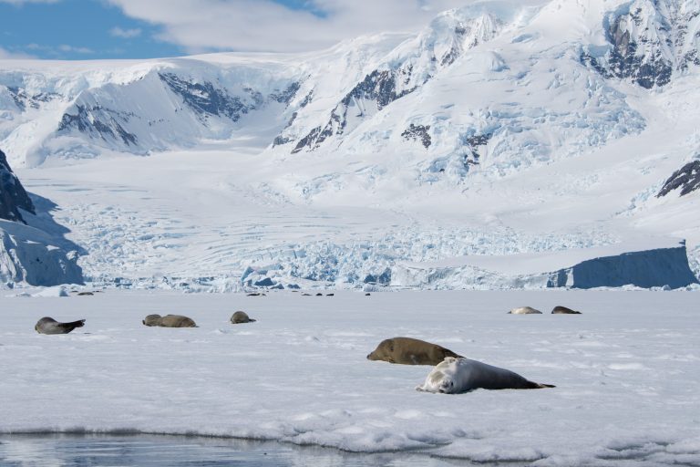 20170107-Antarctica Heb Sky_1186